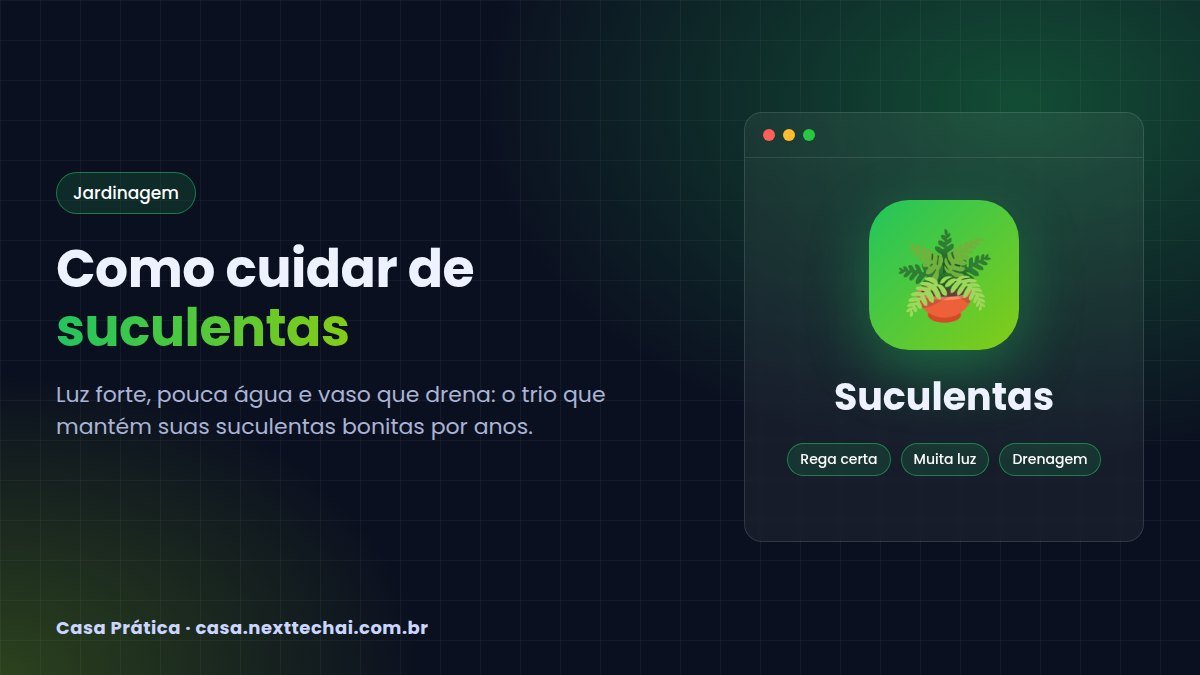 Como cuidar de suculentas: rega, luz e substrato certos
