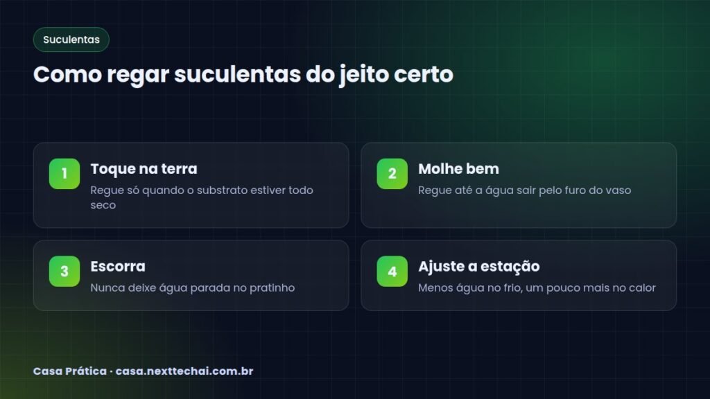 Como regar suculentas do jeito certo